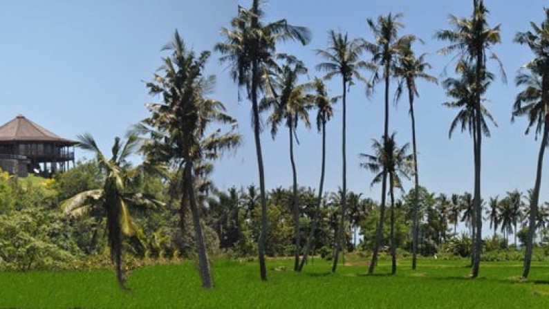 Villa Built On Small Hill With Ocean View At Lombok Area