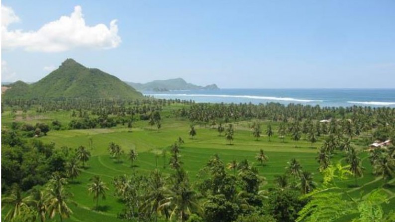 4.47 hectares of flat land with a beach frontage Lombok