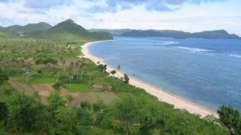 4.47 hectares of flat land with a beach frontage Lombok