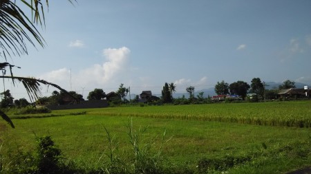 TANAH DIJUAL DI SANGGRAHAN, PRAMBANAN, KLATEN