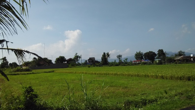 TANAH DIJUAL DI SANGGRAHAN, PRAMBANAN, KLATEN