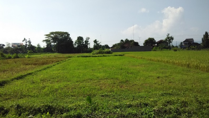 TANAH DIJUAL DI SANGGRAHAN, PRAMBANAN, KLATEN