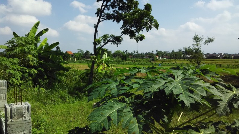 TANAH DIJUAL DI SANGGRAHAN, PRAMBANAN, KLATEN