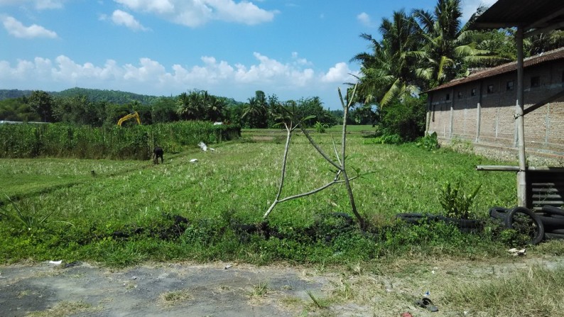 TANAH DIJUAL DI JL. WATES KM11,5 ARGOREJO, SEDAYU, BANTUL