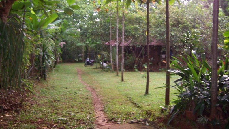 Rumah Villa yang asri di Limo