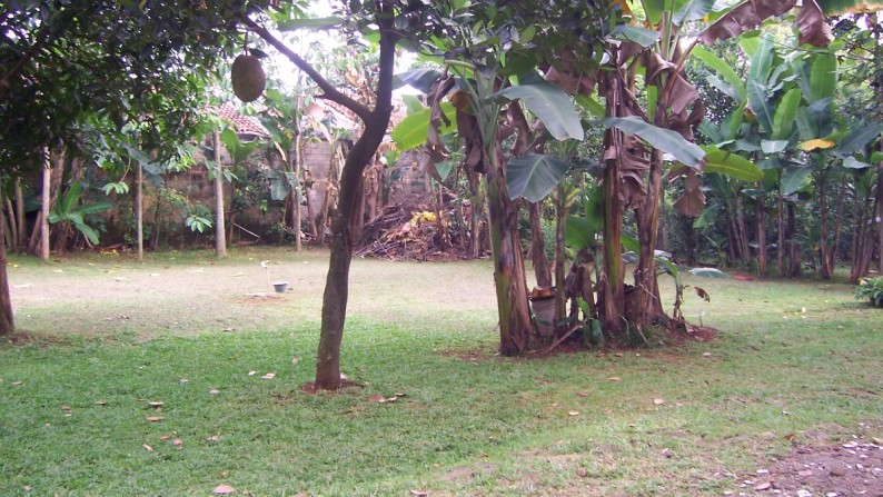 Rumah Villa yang asri di Limo