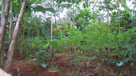 Tanah kosong bentuk kotak di Sawangan