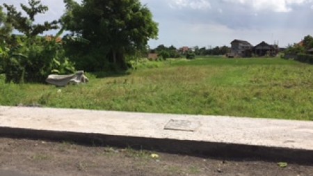 Land For Sale At Berawa Canggu Near Beach Club