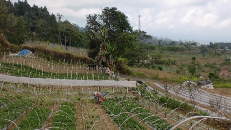 Land At Bedugul Tabanan Few Minutes To Beratan Lake