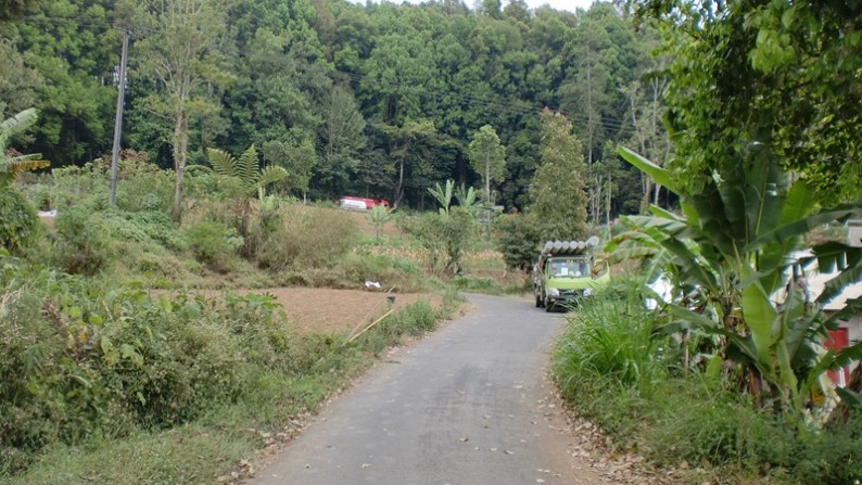 Land At Bedugul Tabanan Few Minutes To Beratan Lake