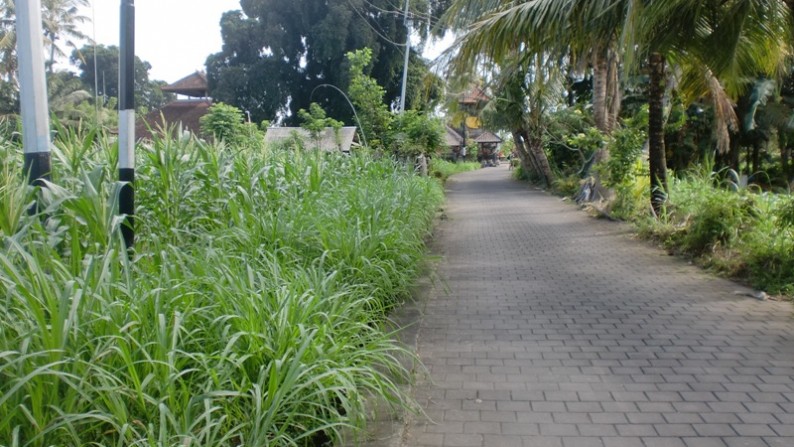 Land At Saba Gianyar Surrounded By Villa and Hotel