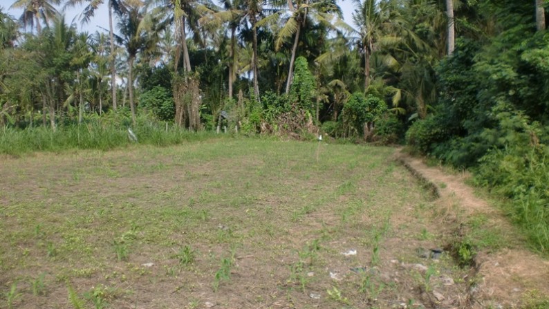 Land At Saba Gianyar Surrounded By Villa and Hotel