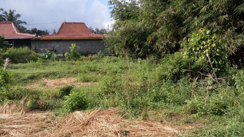 TANAH DIJUAL DI UMBULHARJO, CANGKRINGAN, SLEMAN