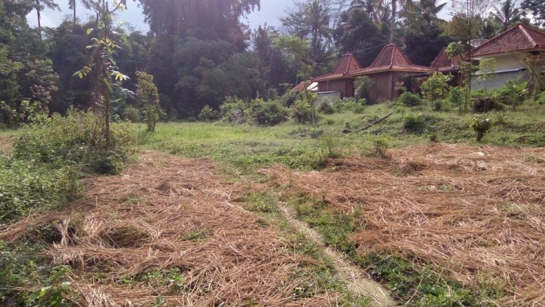 TANAH DIJUAL DI UMBULHARJO, CANGKRINGAN, SLEMAN