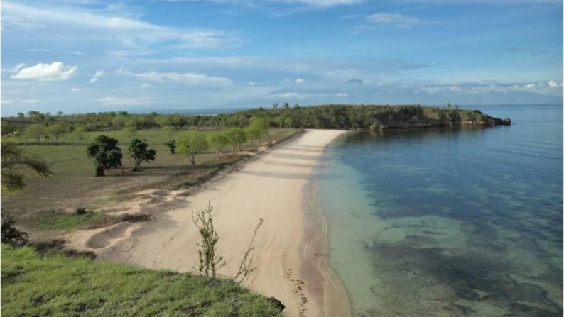 Amazing Beachfront Land Almost 11 Ha In Ekas Bay  Lombok Timur