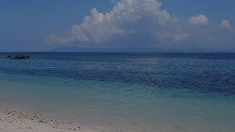 Amazing Beachfront Land Almost 11 Ha In Ekas Bay  Lombok Timur