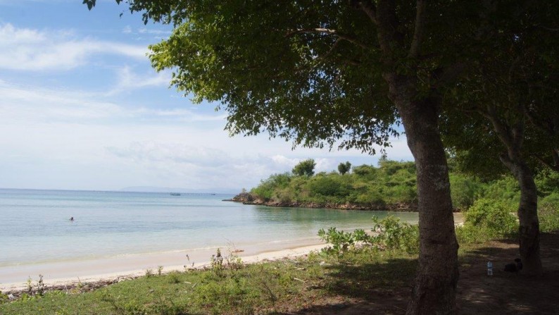 Land Beachfront Almost 4 Ha In Ekas Bay  Lombok Timur