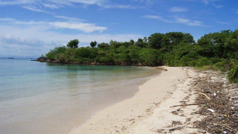 Land Beachfront Almost 4 Ha In Ekas Bay  Lombok Timur