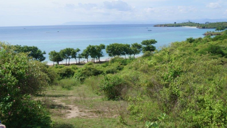 Land Beachfront Almost 4 Ha In Ekas Bay  Lombok Timur