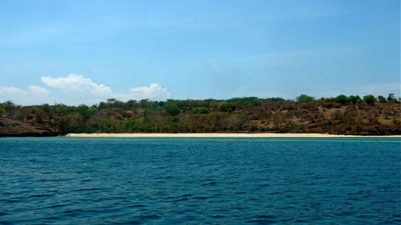 Land Beachfront Almost 4 Ha In Ekas Bay  Lombok Timur