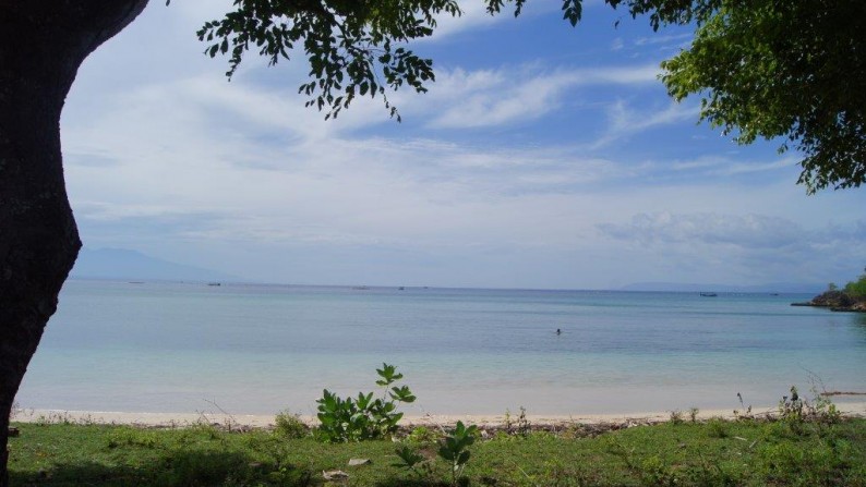 Land Beachfront Almost 4 Ha In Ekas Bay  Lombok Timur