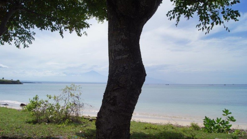 Land Beachfront Almost 4 Ha In Ekas Bay  Lombok Timur