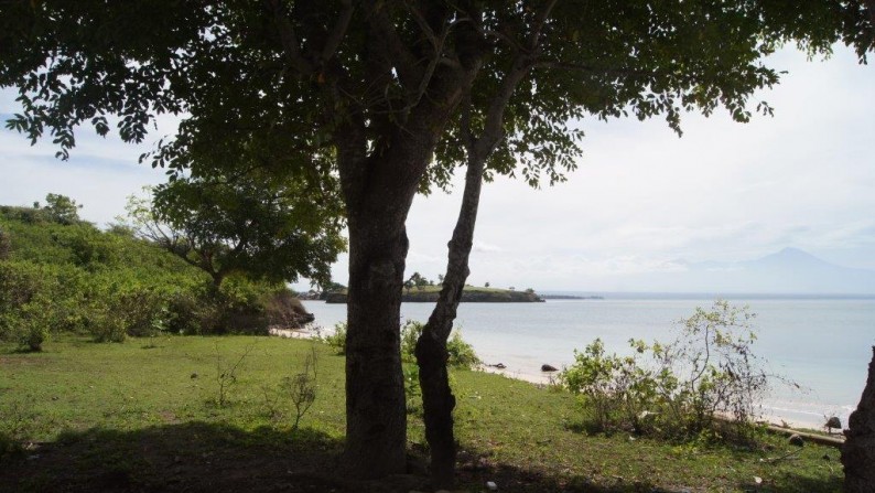 Land Beachfront Almost 4 Ha In Ekas Bay  Lombok Timur