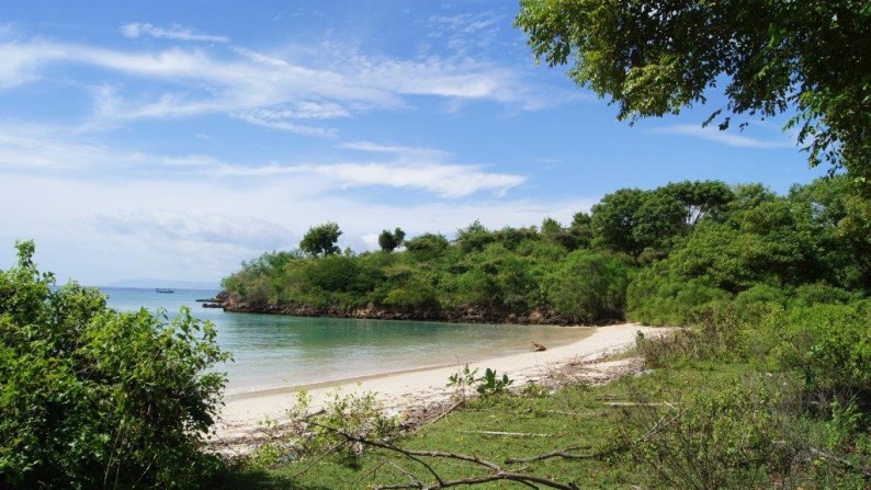 Land Beachfront Almost 4 Ha In Ekas Bay  Lombok Timur