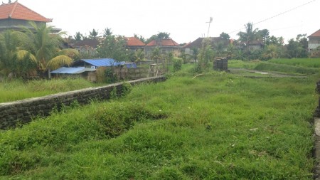 Small Plot 2 are at Bisma by Main Road