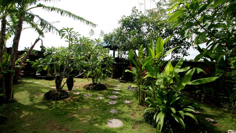 Rice Field View Villa At Berawa Canggu