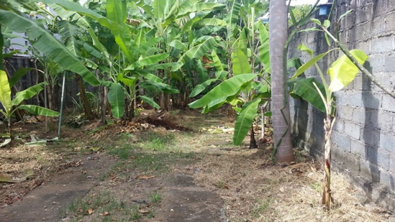 Land At Muding Kerobokan Area