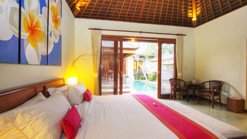 Villa With Hotel at Kerobokan Area