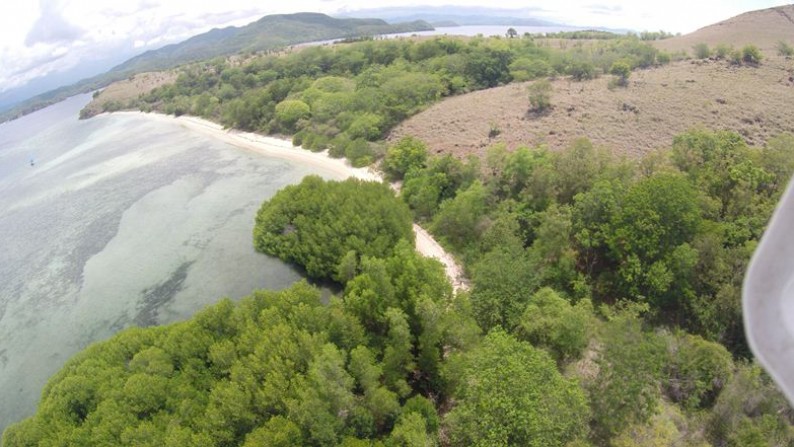 Freehold Beach Front Land At Sababi Island Flores