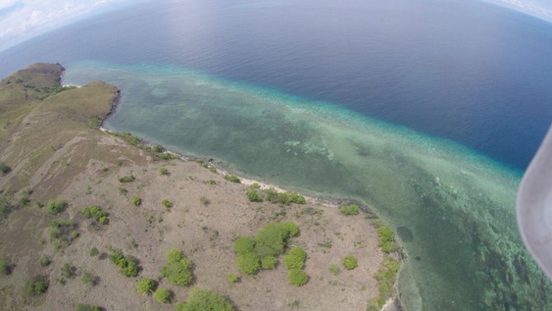 Freehold Beach Front Land At Sababi Island Flores