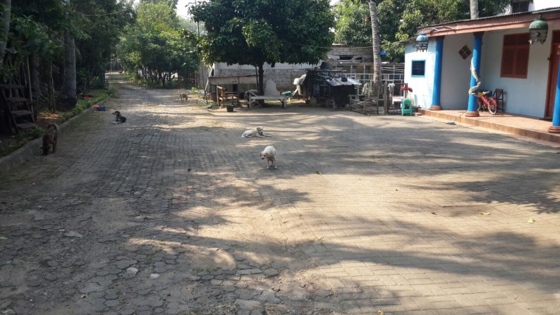 Johanes Sutandi - RWCG - kavling siap bangun di kampung melayu, teluk naga, tangerang