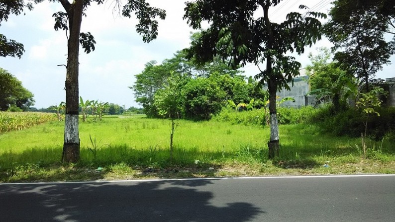 TANAH  DIPINGGIR JALAN RAYA KLATEN, NGAWEN, KLATEN