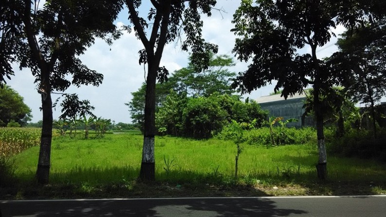 TANAH  DIPINGGIR JALAN RAYA KLATEN, NGAWEN, KLATEN