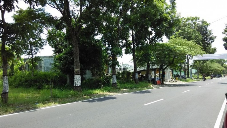 TANAH  DIPINGGIR JALAN RAYA KLATEN, NGAWEN, KLATEN