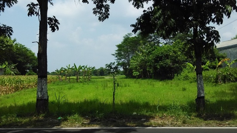 TANAH  DIPINGGIR JALAN RAYA KLATEN, NGAWEN, KLATEN