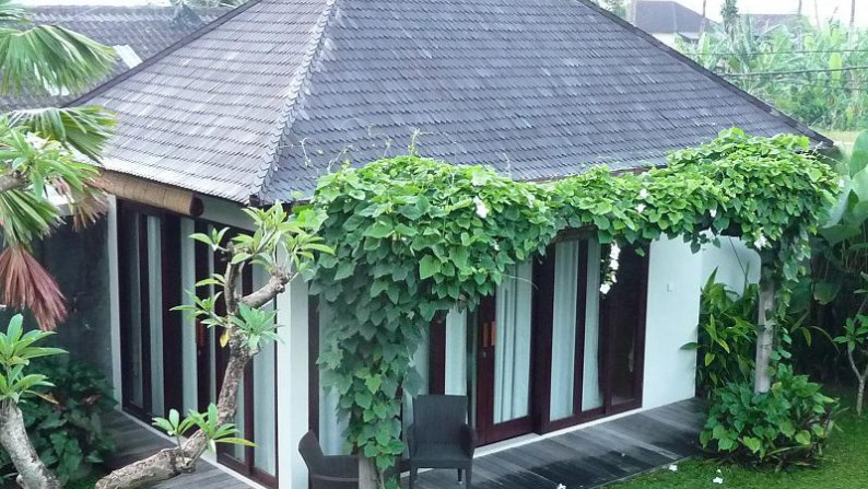 Absolute Peaceful Living at Kerobokan