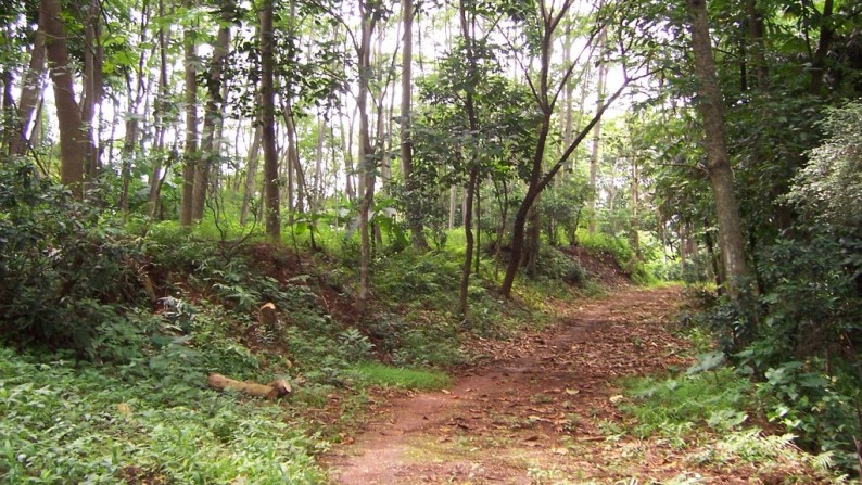 Tanah sangat cocok untuk dibangun perumahan di Beji-Depok