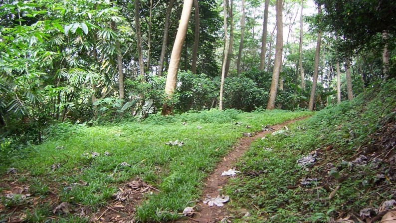 Tanah sangat cocok untuk dibangun perumahan di Beji-Depok