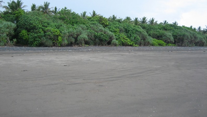 Beach Front Land Located At Pekutatan