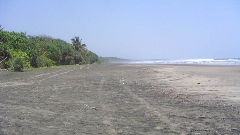 Beach Front Land Located At Pekutatan