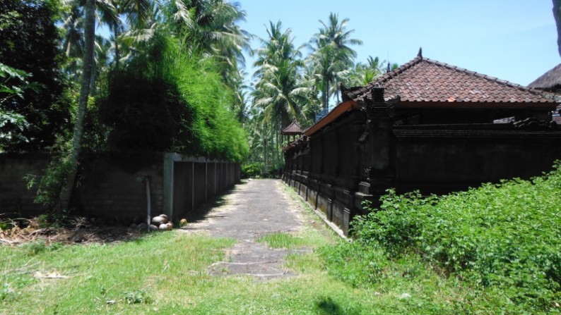 Beach Front Land Located At Pekutatan