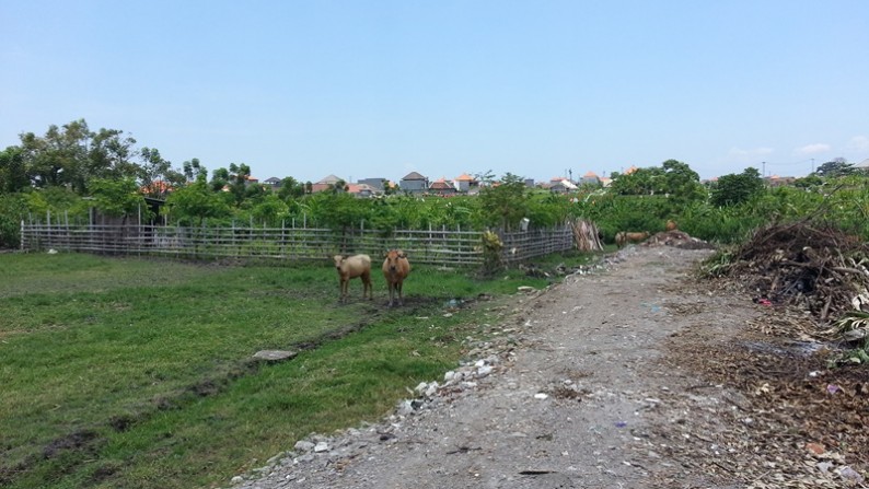 land for sale in denpasar