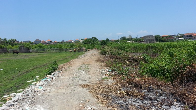 land for sale in denpasar