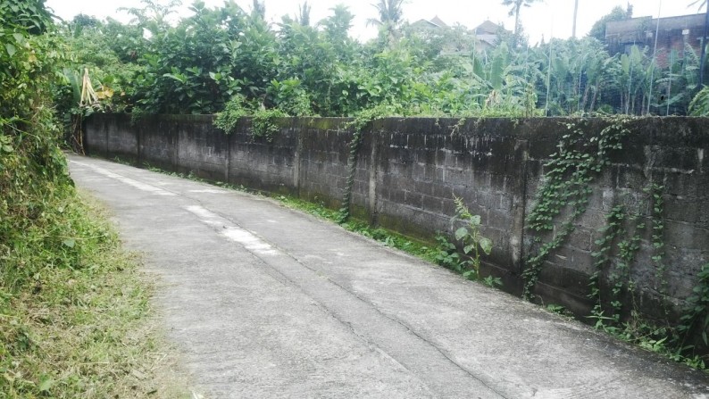 Land At Tibu Beneng Canggu