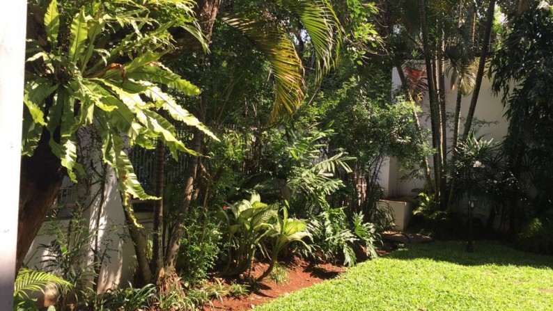 Rumah siap huni + Kolam Renang di Cipete Selatan