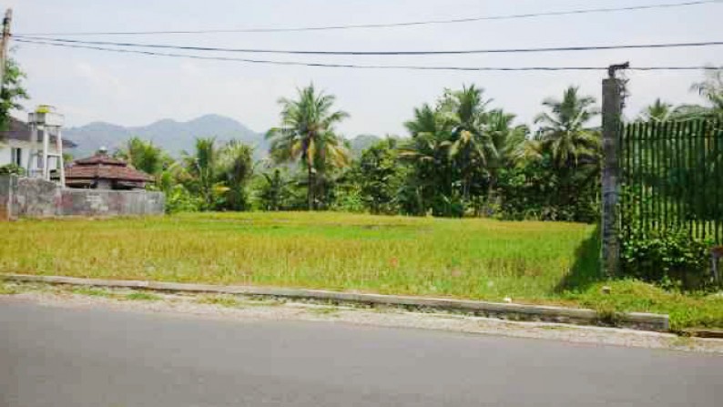 Dijual kavling (sawah) lokasi pinggir jalan, Daerah sukabumi, jabar